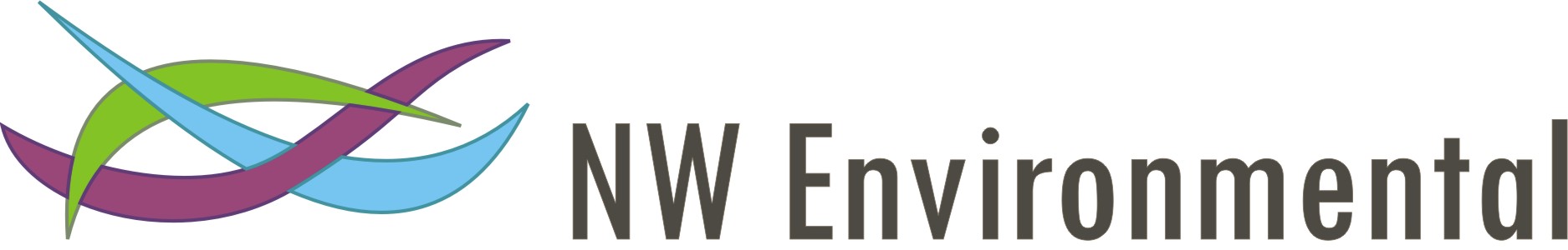 NWE Logo